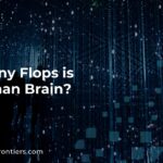 How Many Flops is the Human Brain?